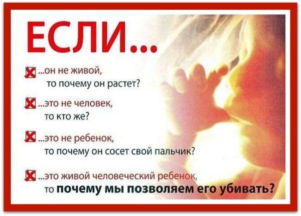 Жизнь в Севастополе. Лето, 2017. Сон на ходу