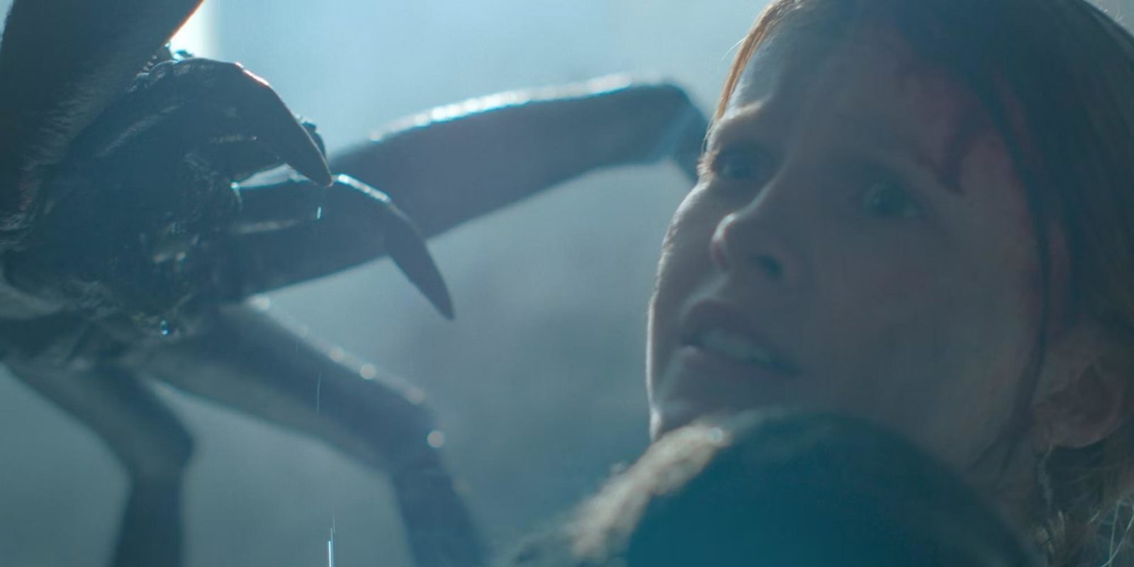 5 фильмов-ужасов, которые стоит посмотреть в 2024 году