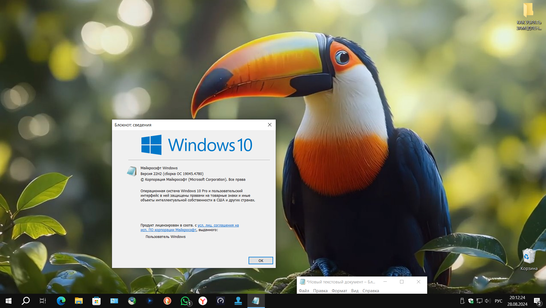 Вот на такой Windows эта птица обитает