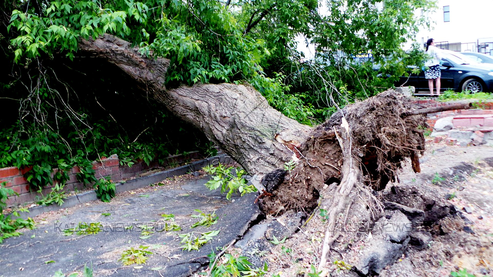 Как именно работать со своей отрицательной родовой кармой в моём личном опыте! Часть первая...