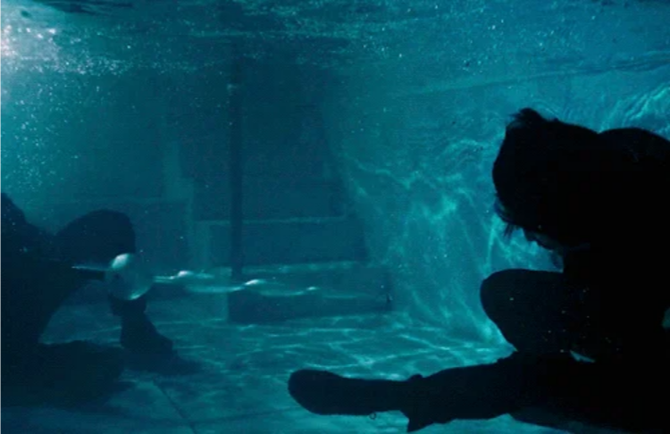 Может ли оружие стрелять под водой?