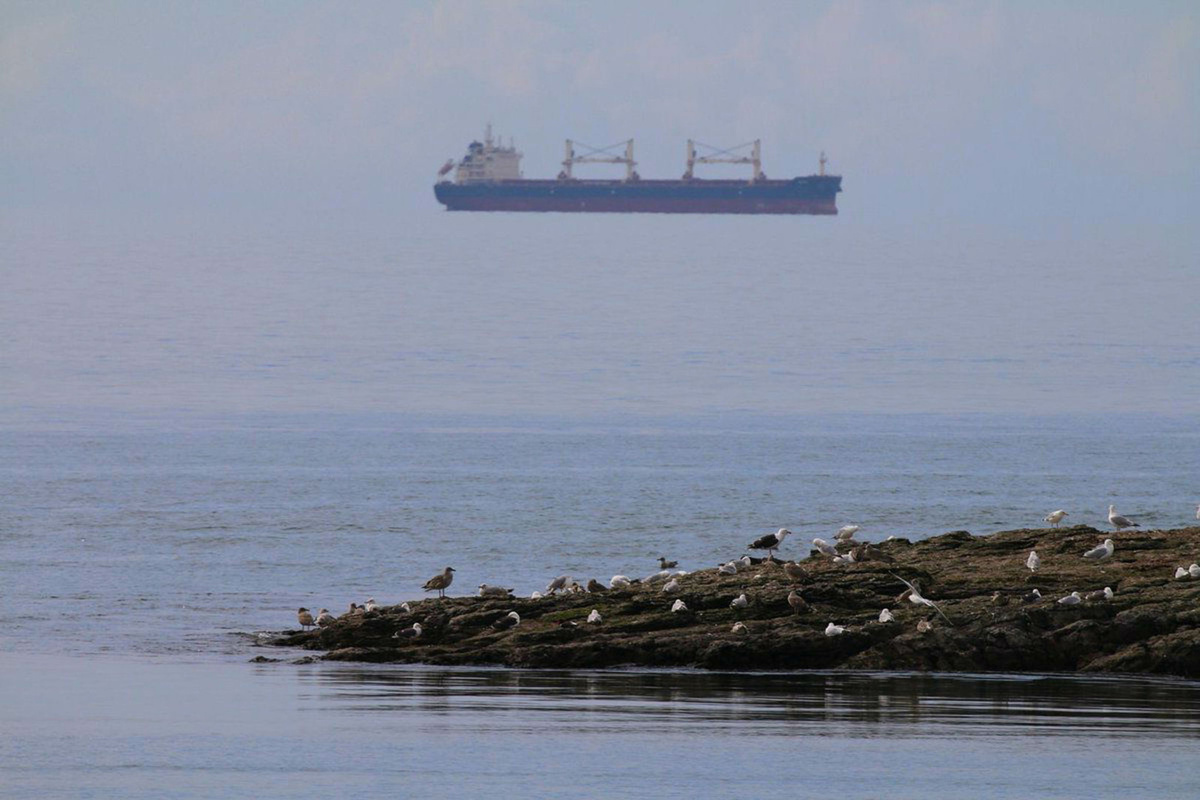 Необычные фотоснимки без фотошопа.