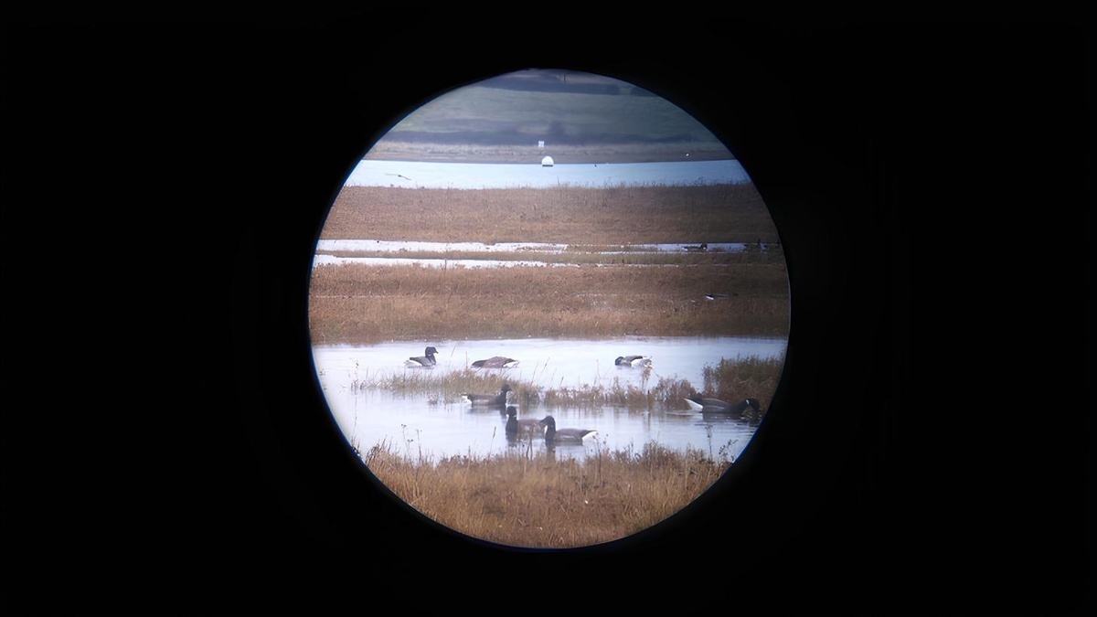 Необычные фотоснимки без фотошопа.