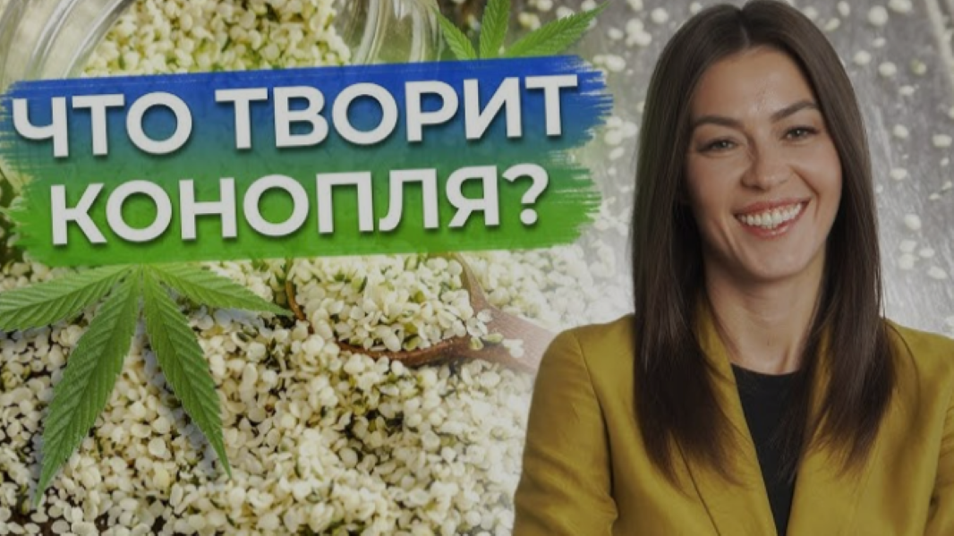 От прошлого к будущему: Коноплеводство в России снова в тренде