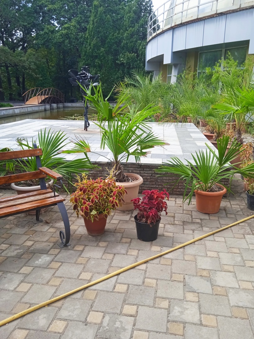 ☘🌸🌲Необыкновенная красота Донецкого ботанического сада! Последние летние денёчки!🌳🏵🌿