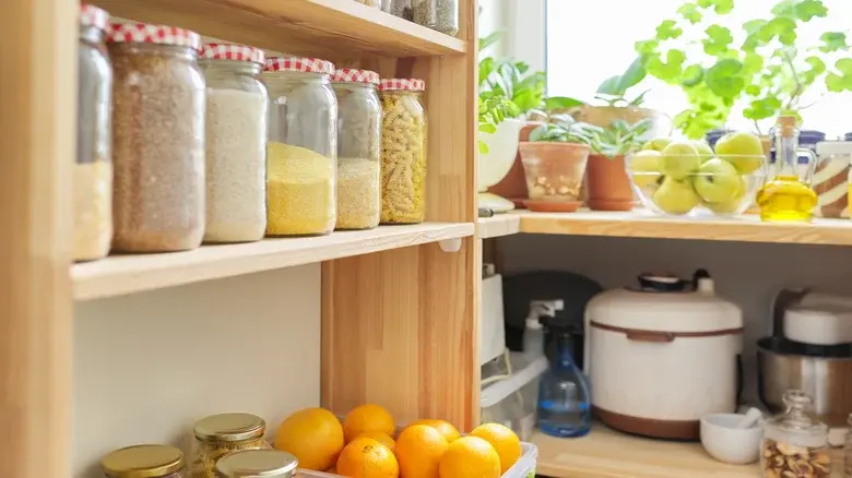 Как сделать планирование питания легким и веселым: Советы для занятой жизни