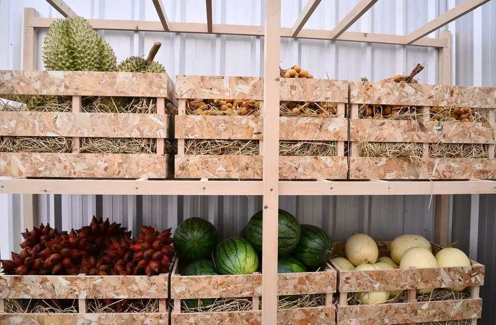 Полезные советы по хранению овощей и фруктов