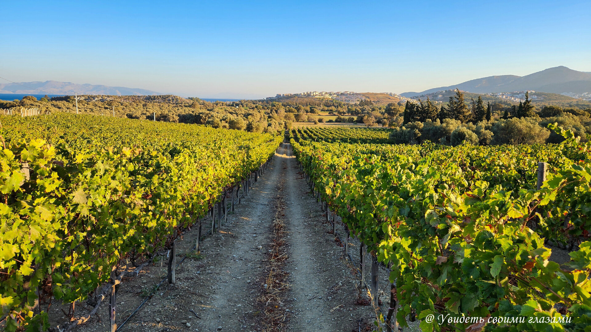 Другая Турция. В милом городке Датча уютно, как на даче