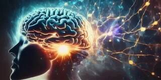 Лень: не порок, а сигнал мозга.