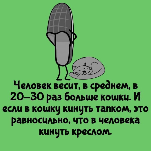 Интересные факты о разном