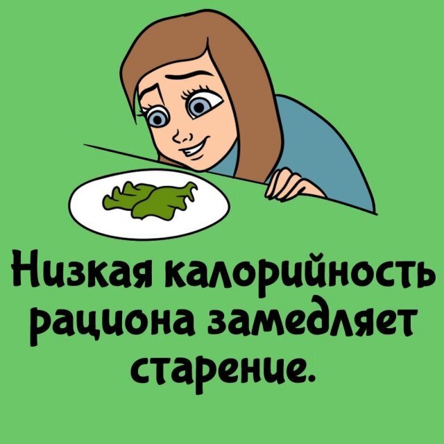 Интересные факты о разном