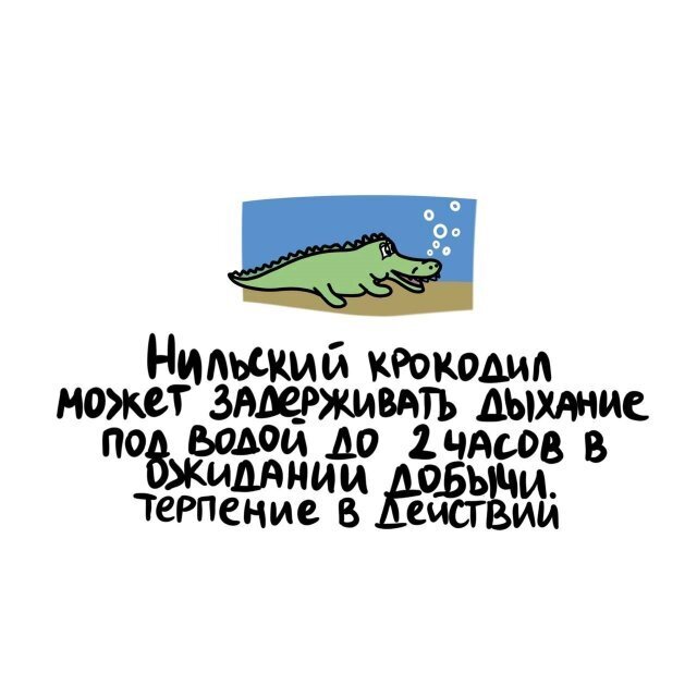 2) Интересные факты о разном