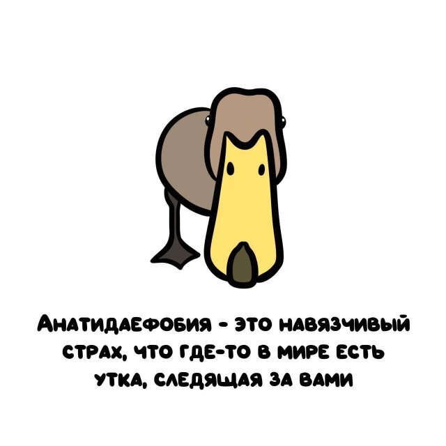 2) Интересные факты о разном