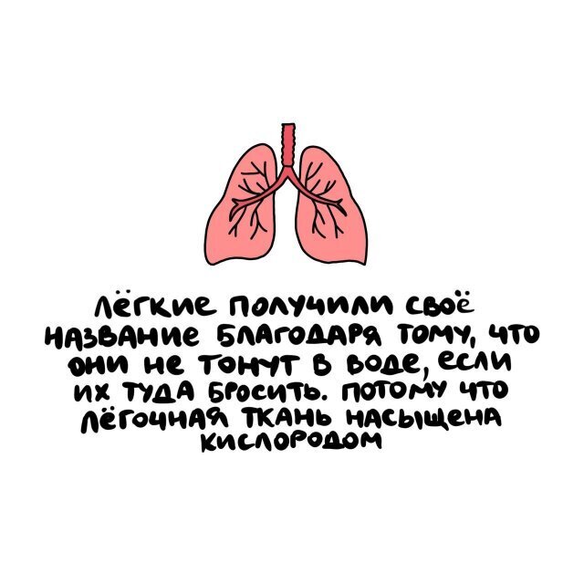 1) Интересные факты о разном