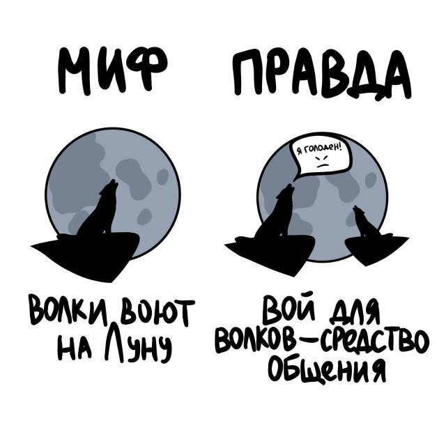 1) Интересные факты о разном