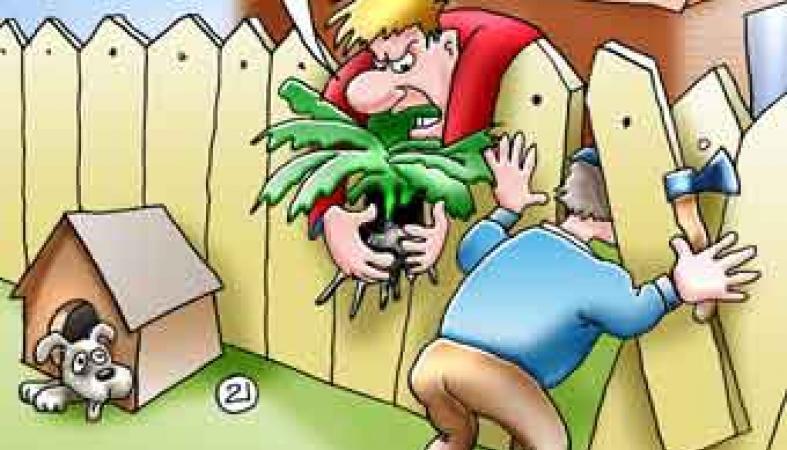 Разборки с соседями: угрозы, конфликты. Как действовать, куда обращаться?