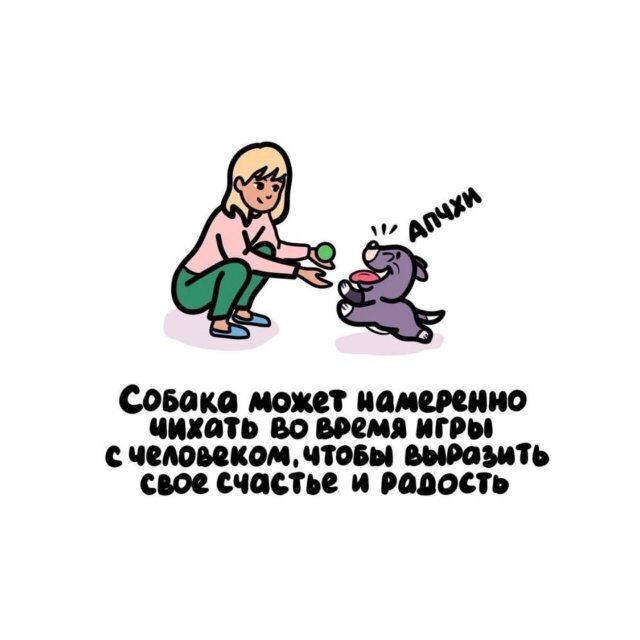 1) Интересные факты о разном