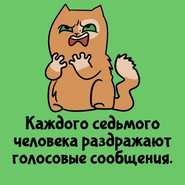 Интересные факты о разном