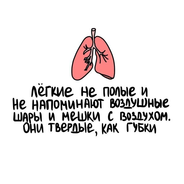 2) Интересные факты о разном