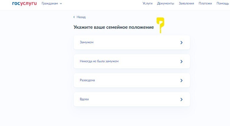 Как поменять паспорт: Замена паспорта в 20 или 45 лет через Госуслуги - пошаговая инструкция по заполнению