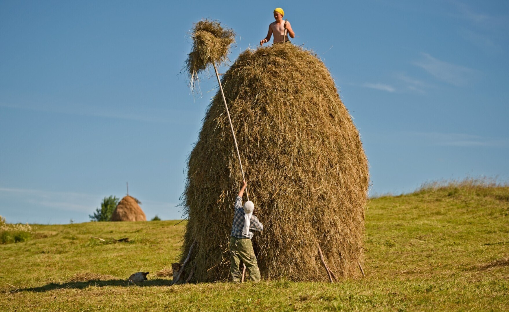 В ту эпоху хочу окунуться, повернуть бы историю вспять…