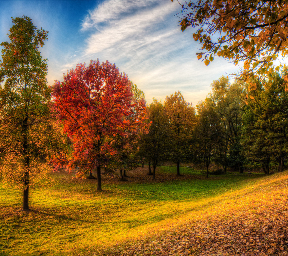 Сентябрь. И радостно, и грустно...