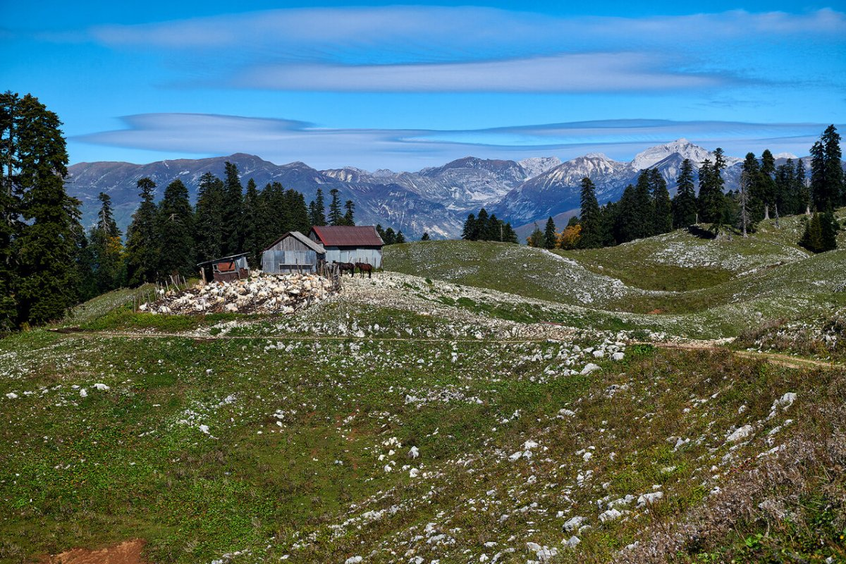 Достопримечательности Гагры — главного курорта Абхазии