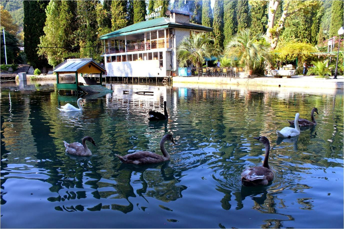 Абхазия Новый Афон: что посмотреть?