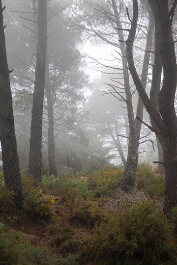 Сентябрь. И радостно, и грустно...