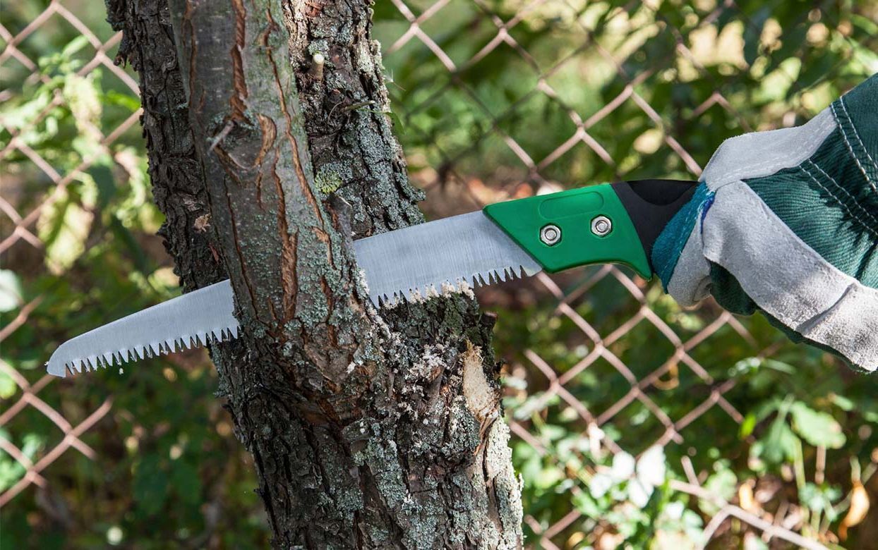 Как правильно спилить дерево в саду