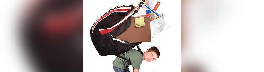 "Колесо образования 3"