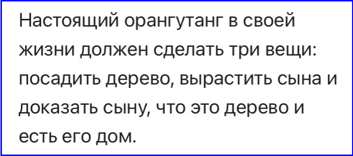 🔔Рекордный ответ Пекину или Экономия с кешбэком орангутангами😳