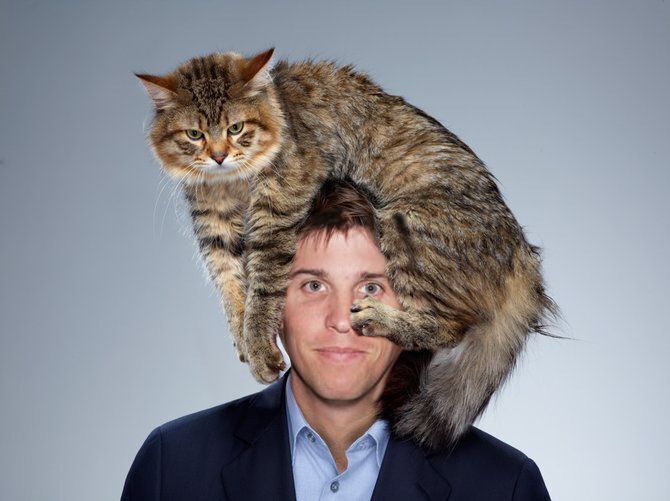 Мужчины с котами. Как наличие пушистых друзей влияет на счастье в любви.