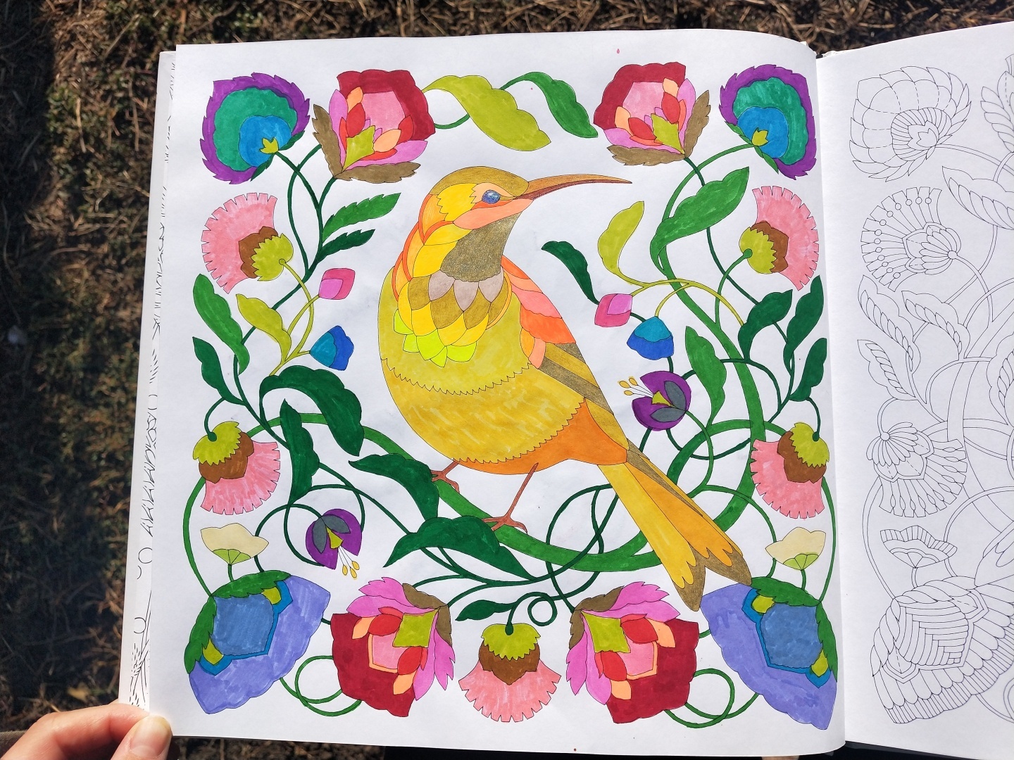 Люблю стиль этой художницы 👩🎨 прекрасная раскраска-антистресс, для тех кто любит детали 🖼️🎨