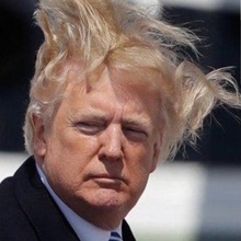 Дональд Трамп, г. Геленджик