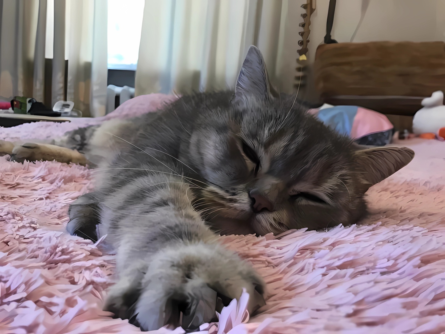 Как понять, что ваша кошка счастлива: советы от кота Матвея !