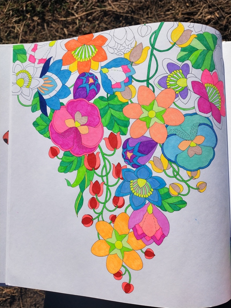 Люблю стиль этой художницы 👩🎨 прекрасная раскраска-антистресс, для тех кто любит детали 🖼️🎨