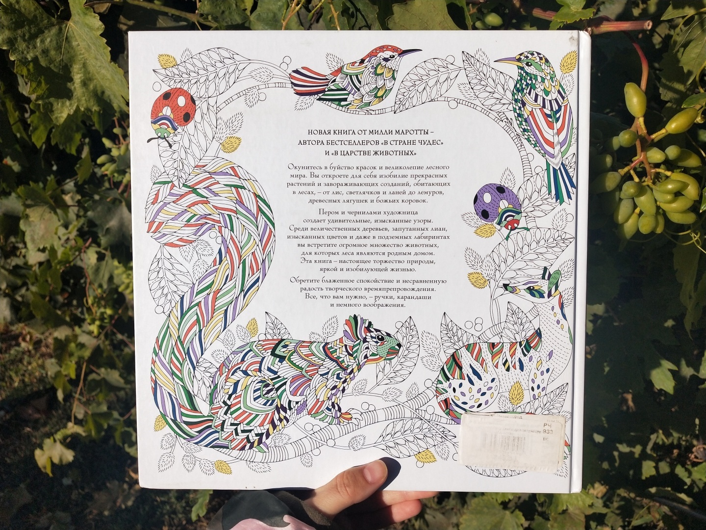 Люблю стиль этой художницы 👩🎨 прекрасная раскраска-антистресс, для тех кто любит детали 🖼️🎨