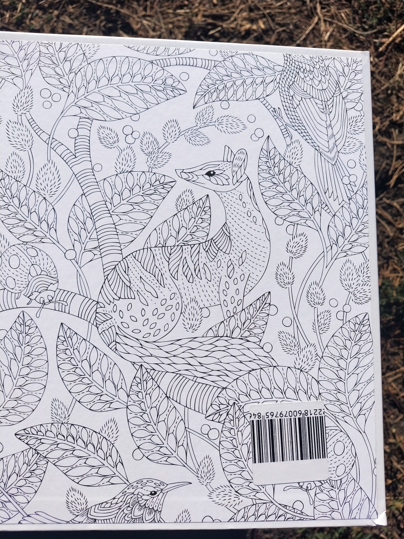 Люблю стиль этой художницы 👩🎨 прекрасная раскраска-антистресс, для тех кто любит детали 🖼️🎨