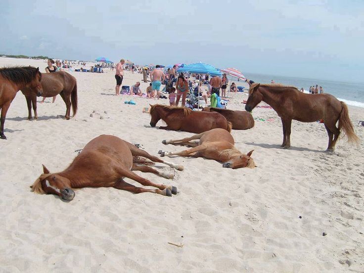 Путешествие в Дербент- Республика Дагестан - Открывая врата Дагестана