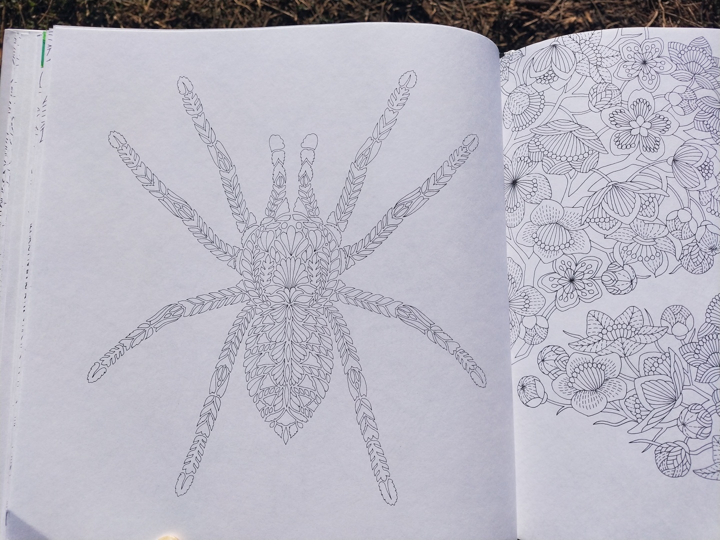 Люблю стиль этой художницы 👩🎨 прекрасная раскраска-антистресс, для тех кто любит детали 🖼️🎨