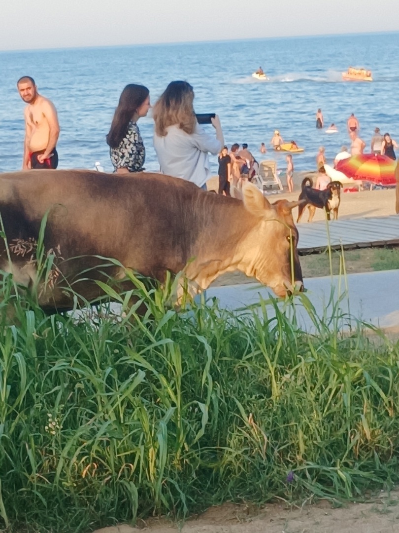 Путешествие в Дербент- Республика Дагестан - Открывая врата Дагестана