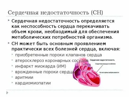 Сердце. Наиболее опасные болезни для старшего поколения.