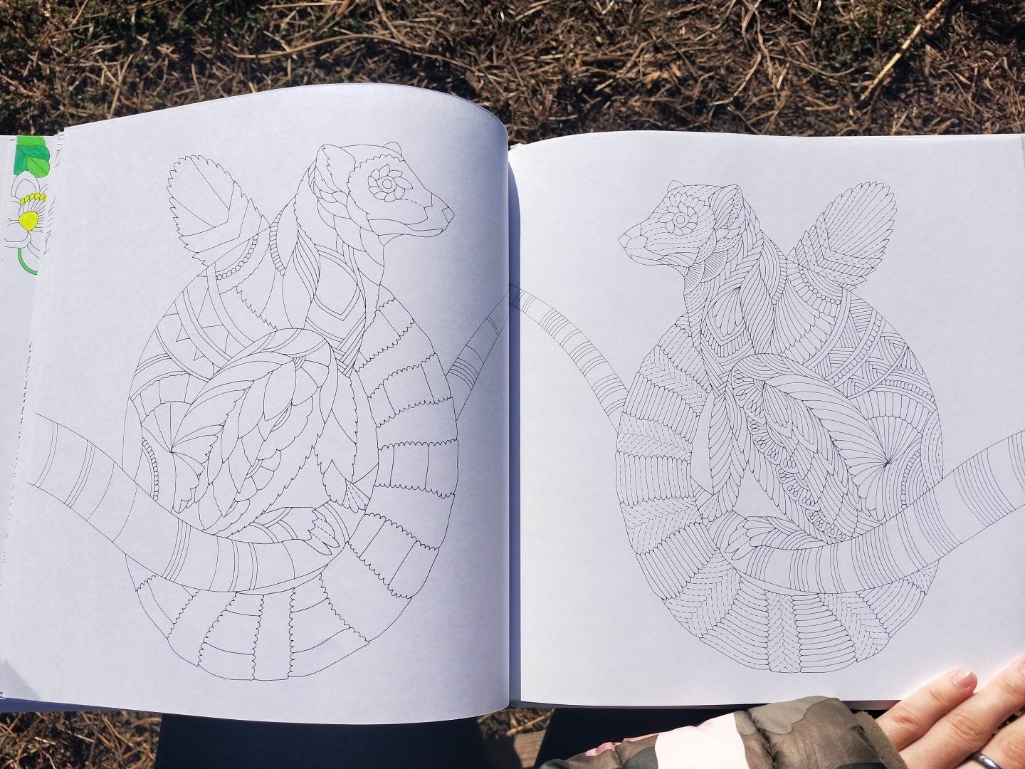 Люблю стиль этой художницы 👩🎨 прекрасная раскраска-антистресс, для тех кто любит детали 🖼️🎨