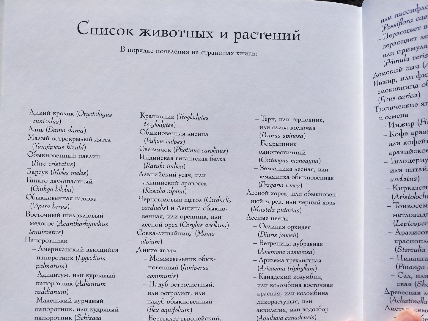Люблю стиль этой художницы 👩🎨 прекрасная раскраска-антистресс, для тех кто любит детали 🖼️🎨