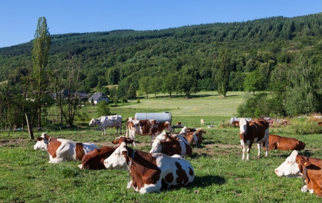 ⚡🔥⚡«Не имею права не помочь». Житель Башкирии, который воспитывает 29 детей, принял решение пойти на СВО