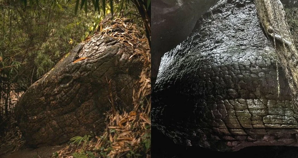 Гигантская окаменелость в виде змеи "Нака"