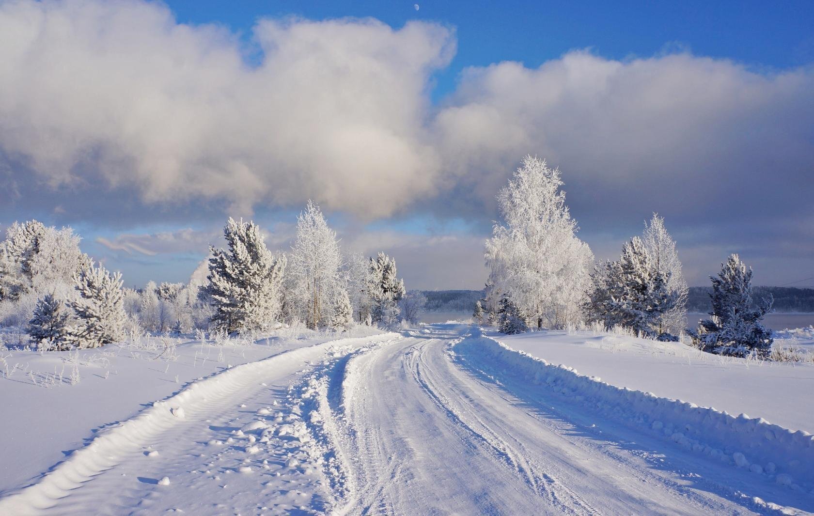 Почему в Сибири намного лучше центральных регионов? Несколько причин!