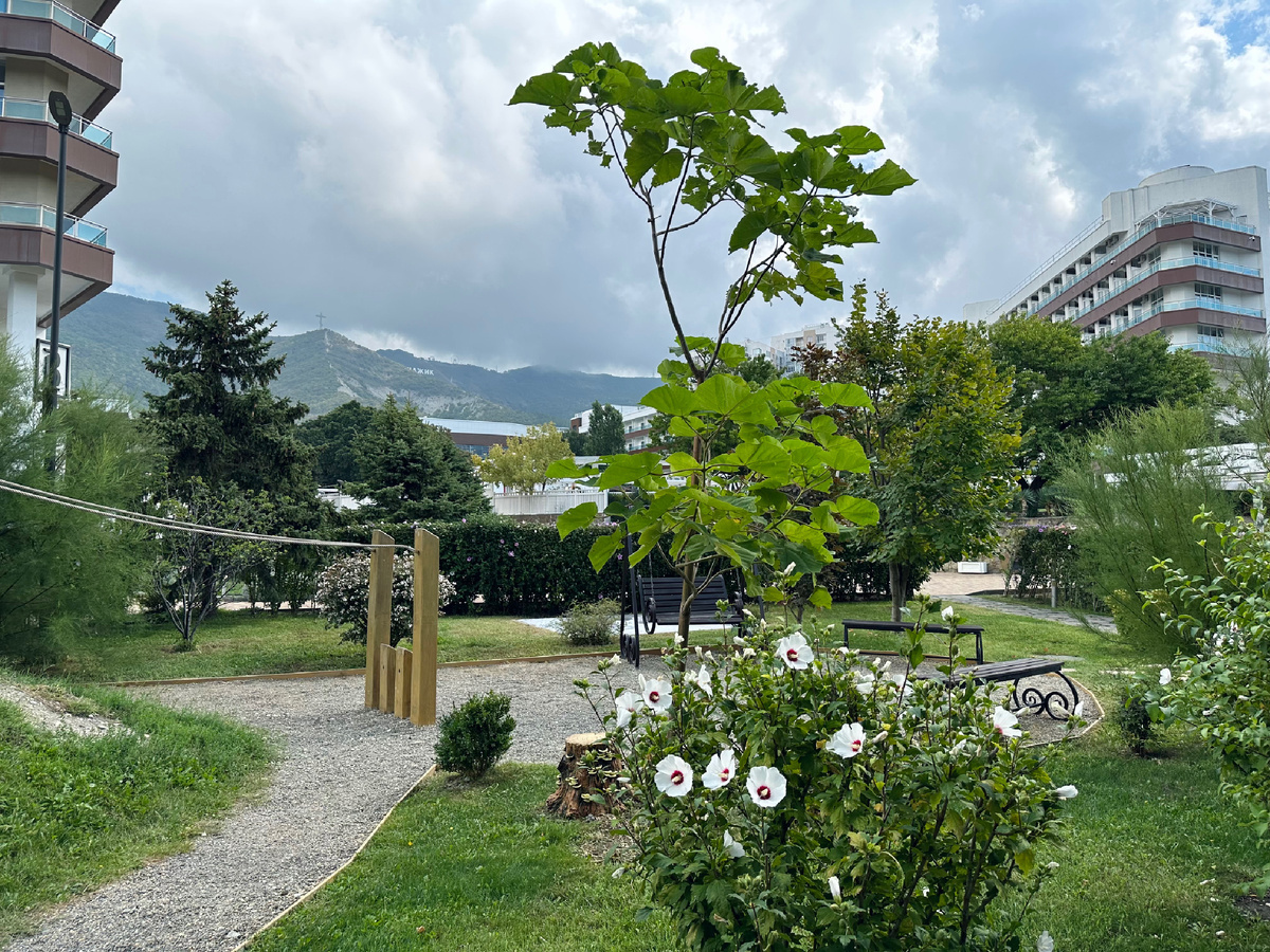 Отель “Alean Family Biarritz” в Геленджике: всё для отдыха, кроме одного нюанса.