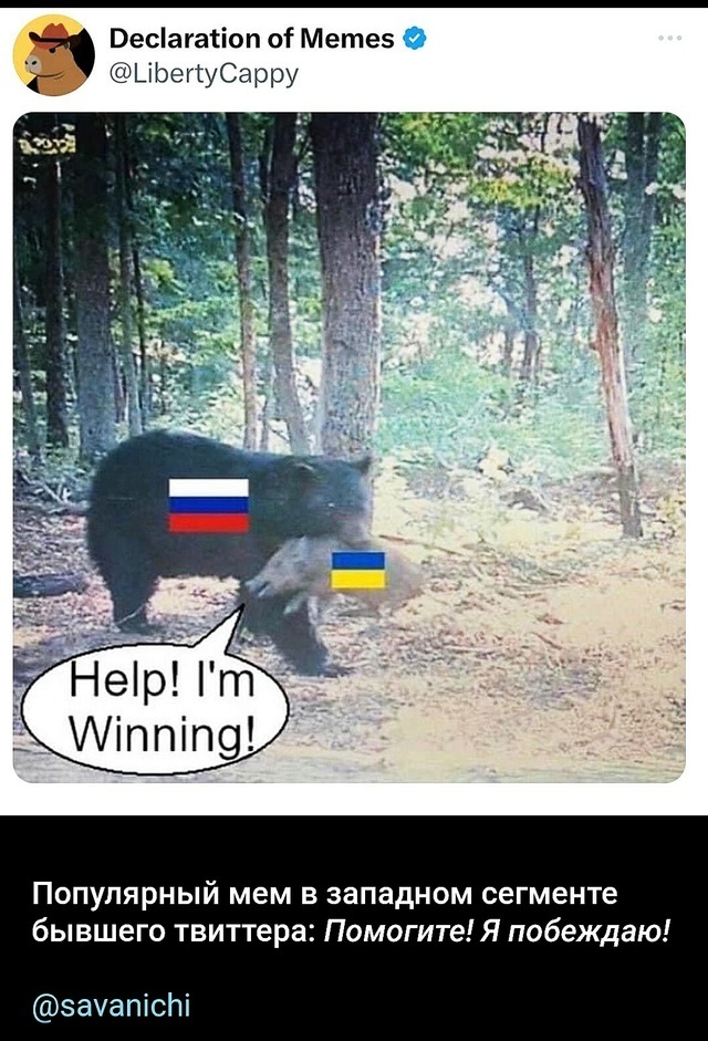 У соседей с головой - Что?